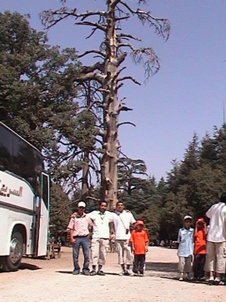 bouhma abousofian et amine
